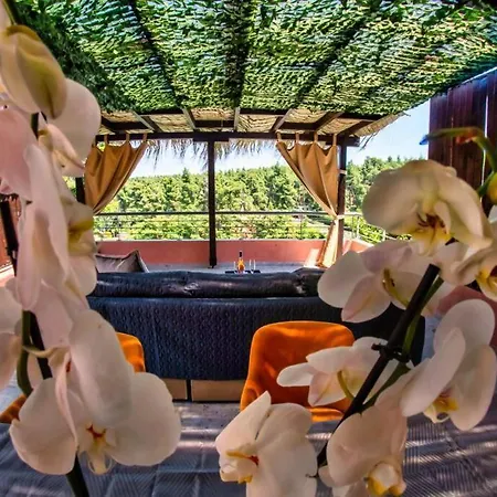 Deluxe Sani Relax *