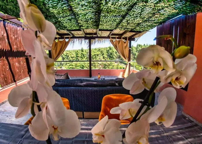Deluxe Sani Relax *